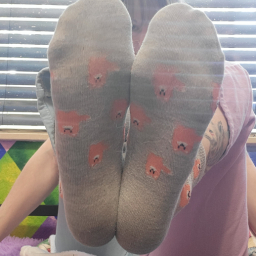 Worn Grey Fox Socks